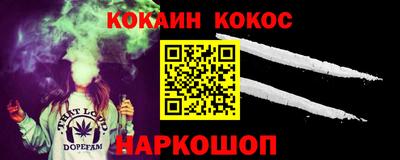 индика Кингисепп