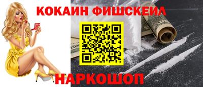 индика Кингисепп