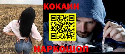 индика Кингисепп