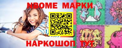 индика Кингисепп
