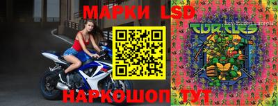 индика Кингисепп