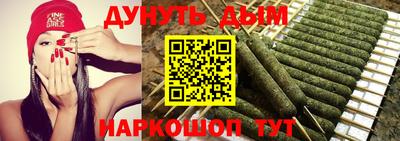индика Кингисепп