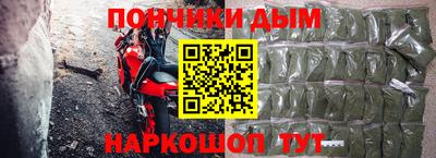 индика Кингисепп