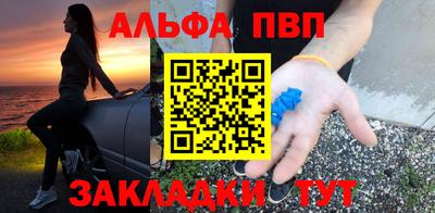 индика Кингисепп