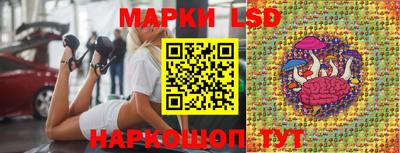 индика Кингисепп