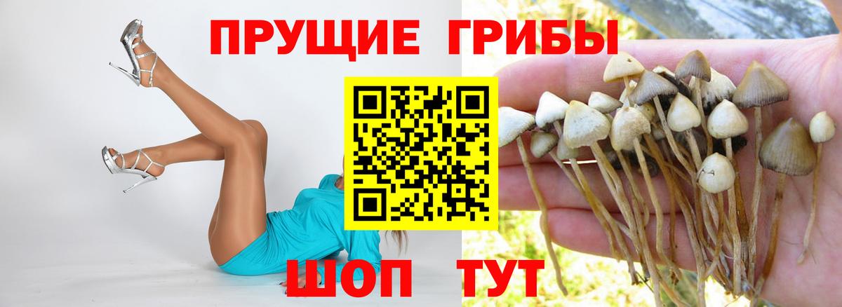 Псилоцибиновые грибы Magic Shrooms Конаково